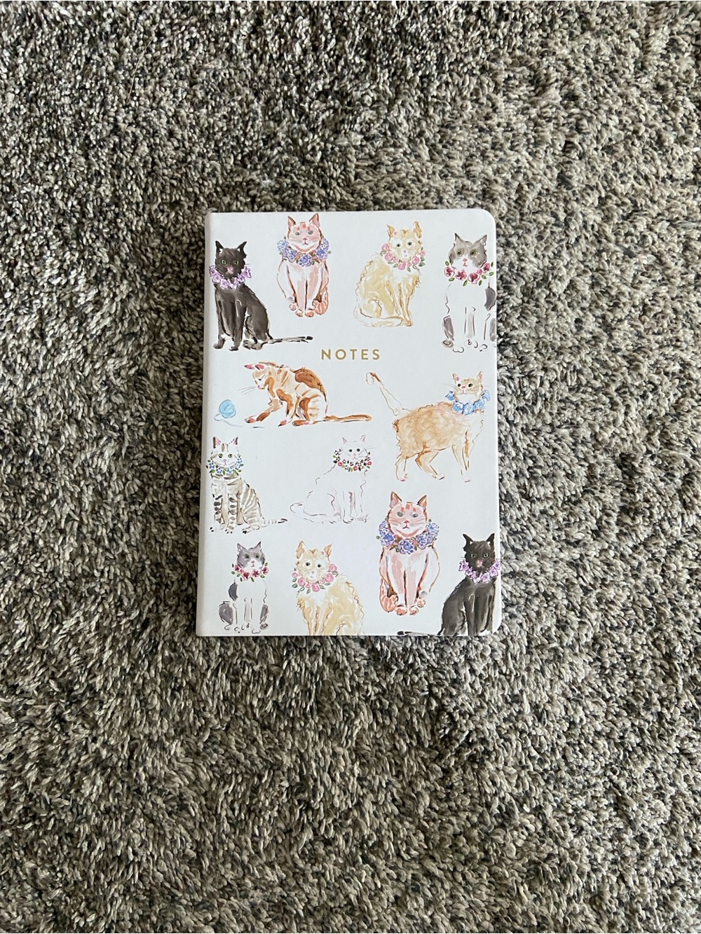 Cat Lined Notebook Journal 6"x8", Eccolo, Watercolor by Beth Briggs